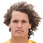 Wout Faes