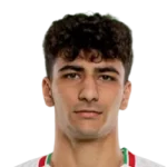 Amirmohammad Razzaghinia